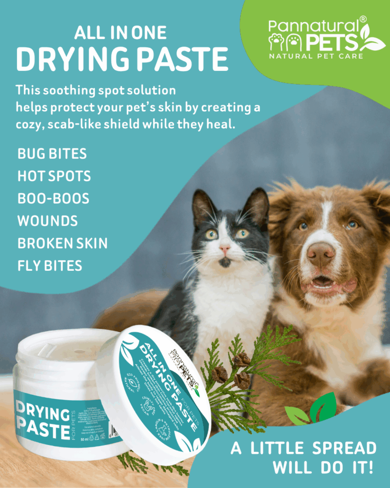 Natural Pet Drying Paste for cats and dogs