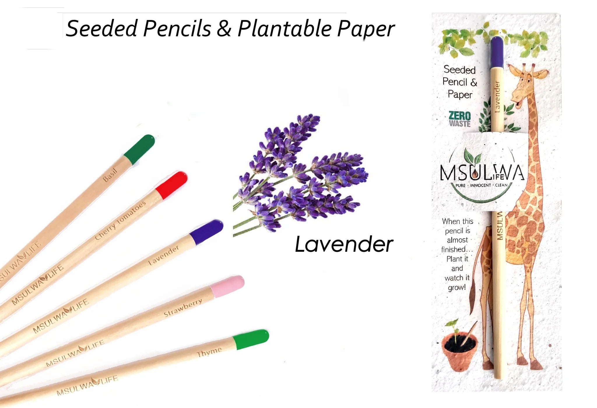 Seeded Pencil with Plantable Seed Paper